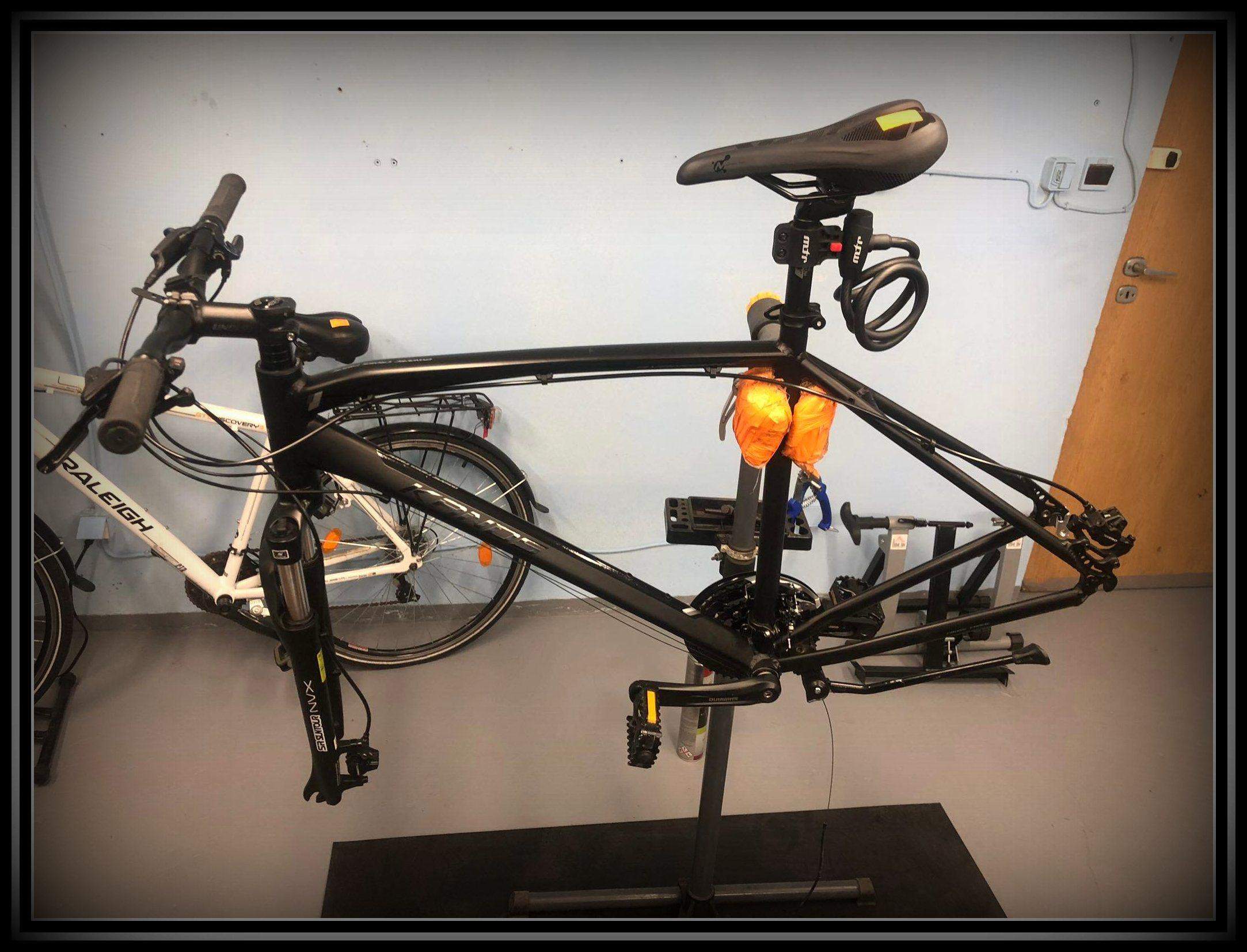 Aktualne zdjęcia serwisu