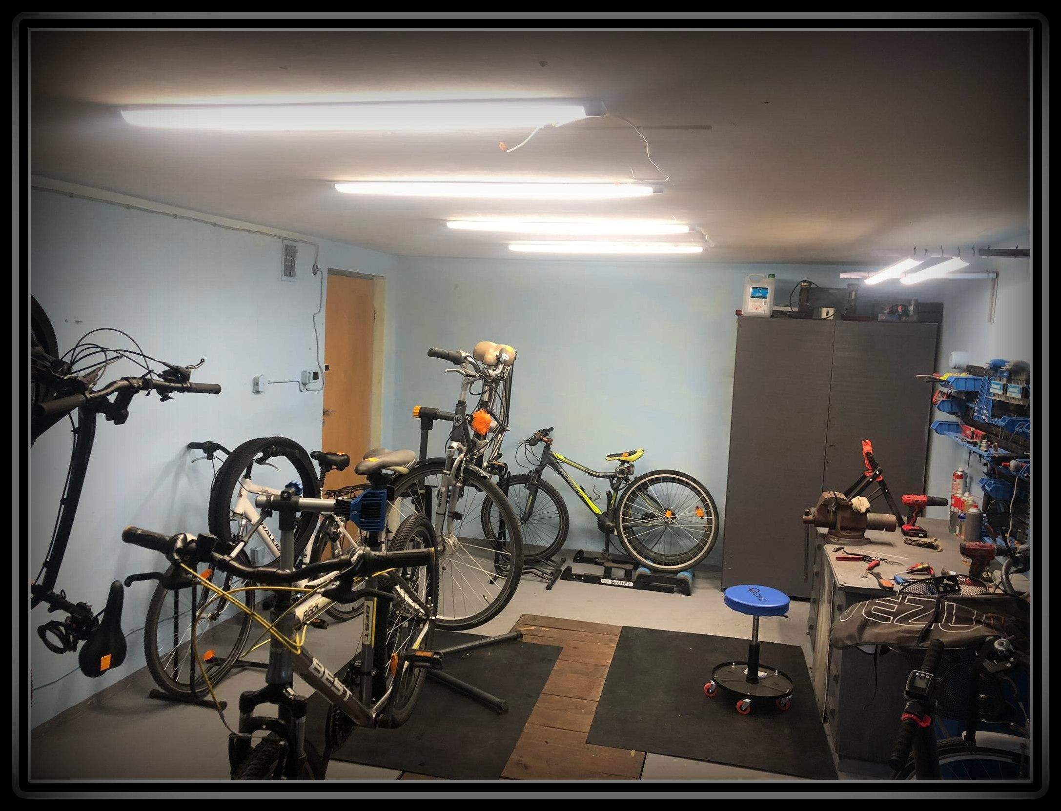 Aktualne zdjęcia serwisu